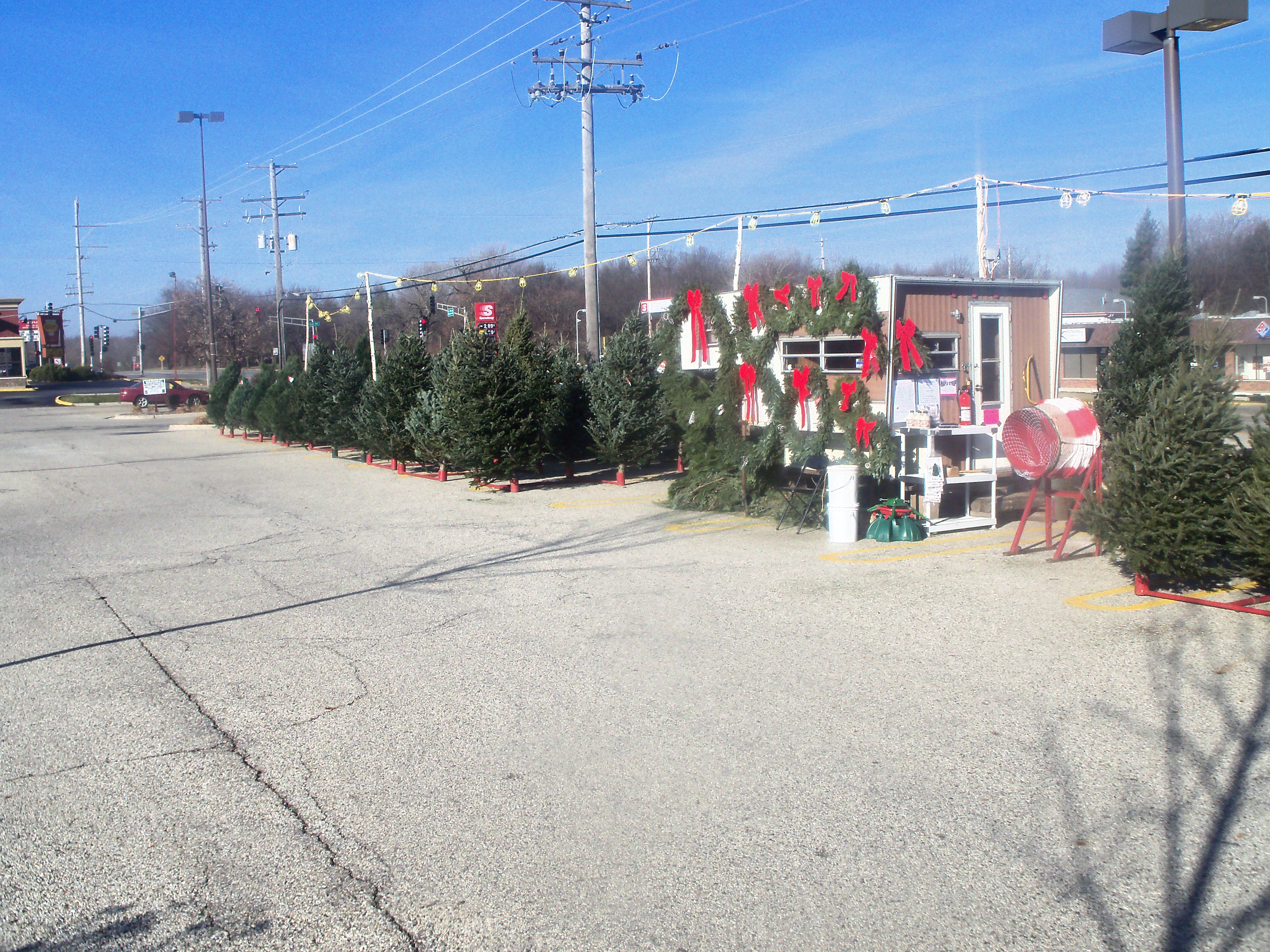 Retail and Wholesale Christmas Trees | High Ground Tree Farm