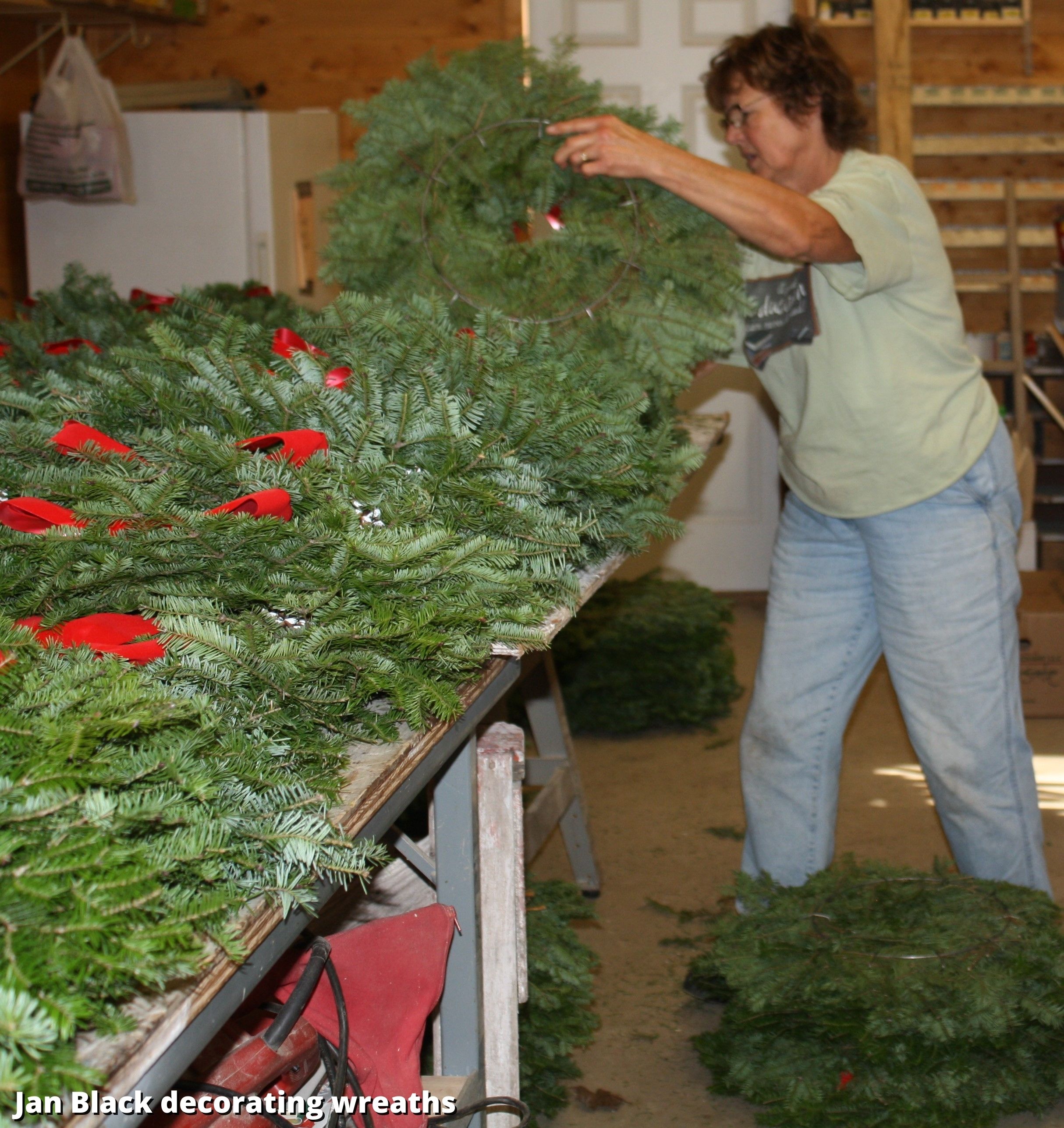About Us | High Ground Tree Farm